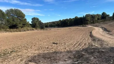 Terreno en venta en Hellín - Vista 3