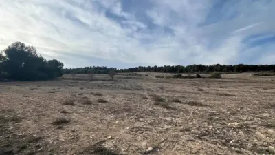 Terreno en venta en Hellín - Vista 4