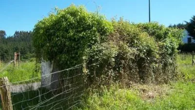Rustic house in Gautegiz Arteaga photo 23