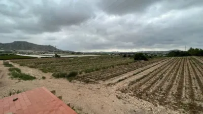 Terreno en venta en Aspe - Vista 2