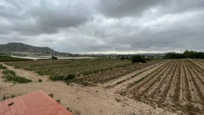 Terreno en venta en Aspe - Vista 3