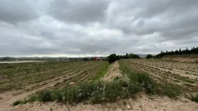 Terreno en venta en Aspe - Vista 4