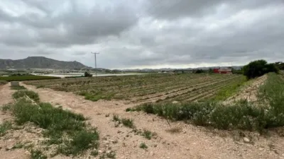 Terreno en venta en Aspe - Vista 5