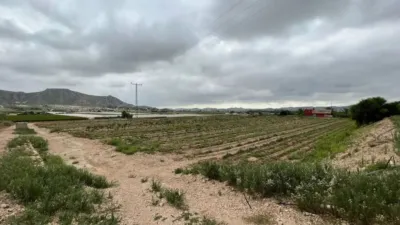 Terreno en venta en Aspe - Més