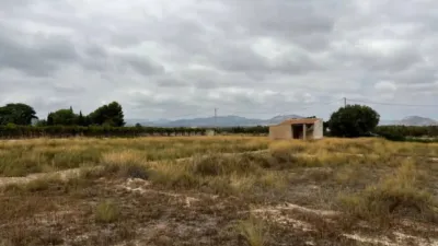 Terreno en venta en Aspe - Vista 3