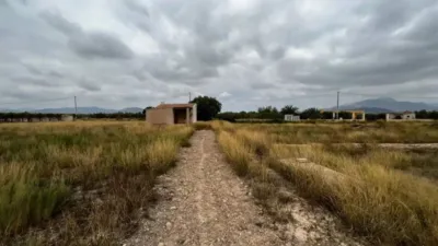 Terreno en venta en Aspe - Vista 4