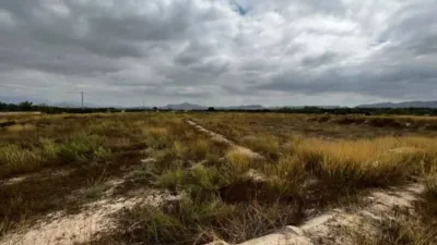 Terreno en venta en Aspe - Vista 5