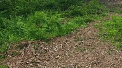 Terreno en venta en Fene - Vista 3