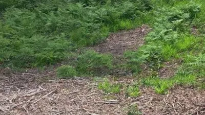 Terreno en venta en Fene - Más