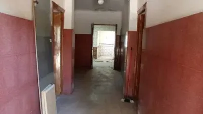 Miniatura 11