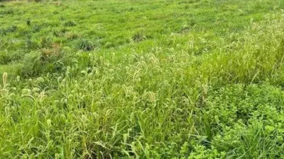 Terreno en venta en Paderne - Más