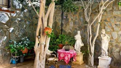 Chalet on Asturias Street photo 21