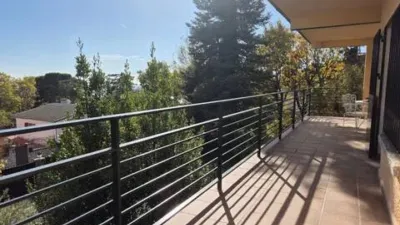 Chalet in Cercedilla photo 8