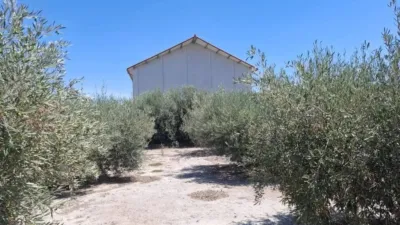 Chalet on Camino Viejo del Puerto photo 3