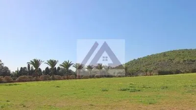 Chalet en venta en Manacor, Manacor de 1.950.000 €