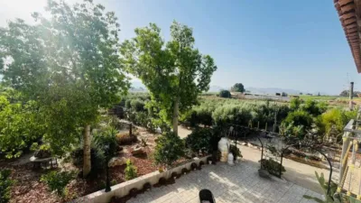 Chalet in Lorca photo 5