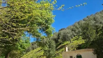 Rustic house at Camino de La Ermita, 1 photo 5