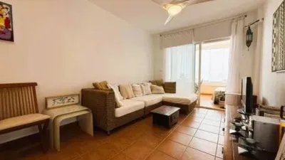 Pis – Orihuela, El Pinar de Campoamor, Dehesa de Campoamor - Vista 3