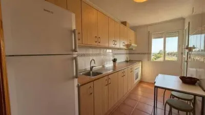 Pis – Orihuela, El Pinar de Campoamor, Dehesa de Campoamor - Vista 5