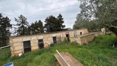 Rustic house in El Coll d'en Rabassa photo 17