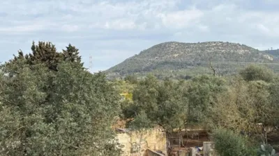 Rustic house in El Coll d'en Rabassa photo 20