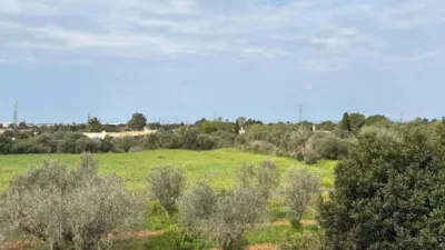 Rustic house in El Coll d'en Rabassa photo 21