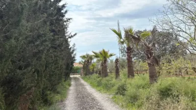Rustic house in El Coll d'en Rabassa photo 22