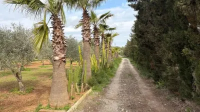 Rustic house in El Coll d'en Rabassa photo 23