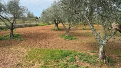 Rustic house in El Coll d'en Rabassa photo 24