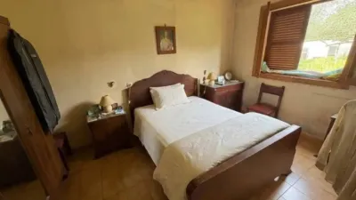 Rustic house in El Coll d'en Rabassa photo 4
