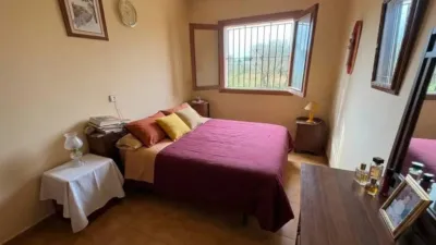 Rustic house in El Coll d'en Rabassa photo 5