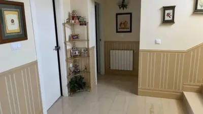 Chalet in Albacete Capital photo 13