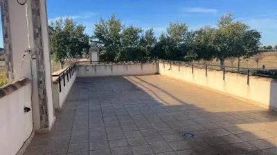 Chalet in Albacete Capital photo 19