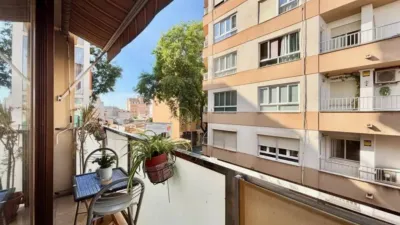 Apartment in Son Canals photo 14