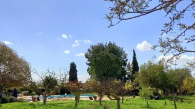 Chalet in Palma de Mallorca photo 3