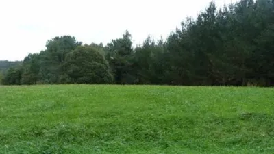 Terreno en venta en A Chantada (Requeira) - Vista 2