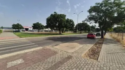 Miniatura 7
