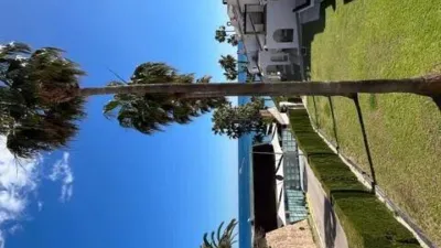 Casa – Orihuela, Mil Palmeras - Vista 5
