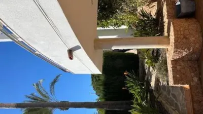 Casa – Orihuela, Mil Palmeras - Más