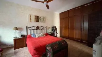 Chalet in Crevillent photo 28