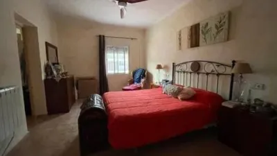 Chalet in Crevillent photo 30