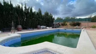 Chalet in Crevillent photo 8