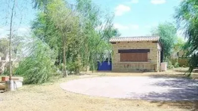 Miniatura 9