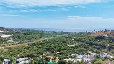 Chalet on Avenida de Pescia-La Noria-Pueblo Rocío photo 10