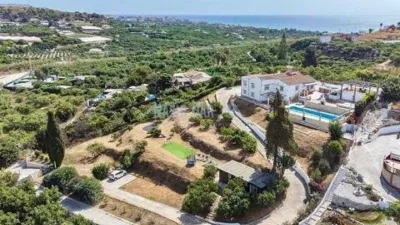 Chalet on Avenida de Pescia-La Noria-Pueblo Rocío photo 13
