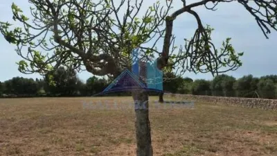 Casa rústica en venta en Manacor, Manacor de 1.050.000 €