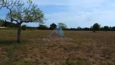 Casa rústica en venta en Manacor, Manacor de 1.050.000 €
