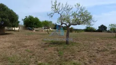Casa rústica en venta en Manacor, Manacor de 1.050.000 €