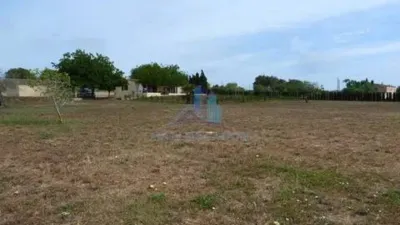Casa rústica en venta en Manacor, Manacor de 1.050.000 €