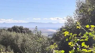House - Vista 6
